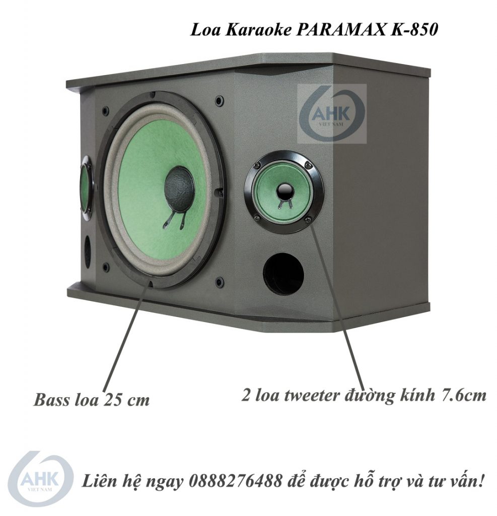 Loa karaoke PARAMAX K-850 2