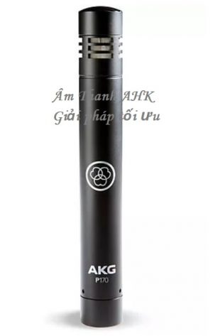AKG Perception 170 review