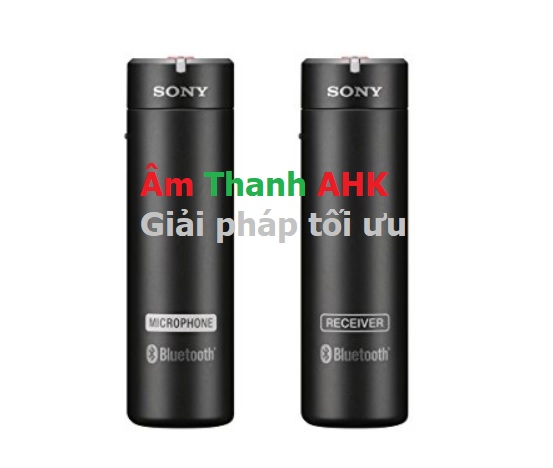 Sony ECMAW4