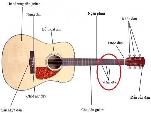 Đàn guitar Acoustic