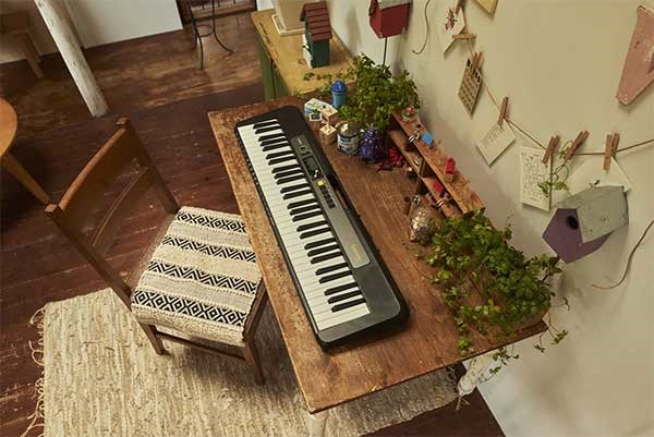 Đàn organ Casiotone LK-S250
