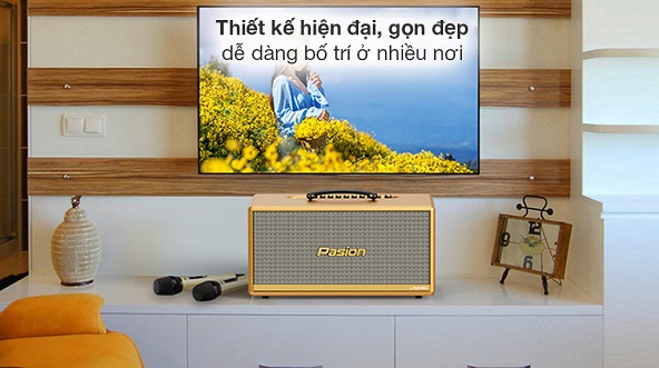 Loa karaoke xách tay PASION