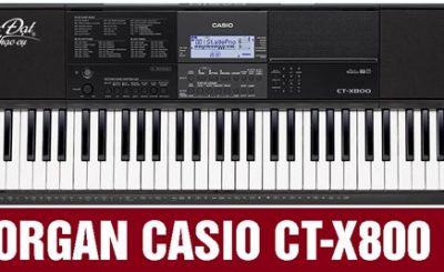 Đàn Organ điện tử CASIO CT-X800