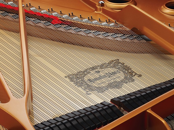 Dây Đàn Piano Yamaha CF6