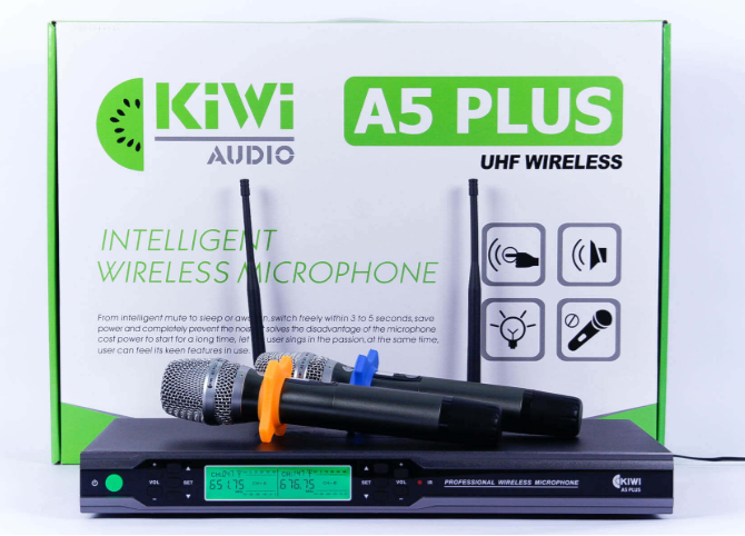 Thương hiệu âm thanh Kiwi có xuất xứ ở đâu
