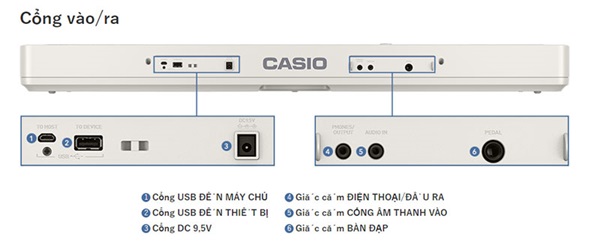 Cổng kết nối Đàn Organ Casio CT-S1