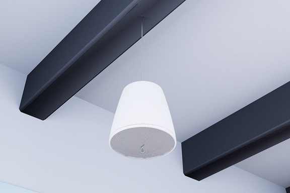 Loa âm trần Bose Designmax DM5P cao cấp