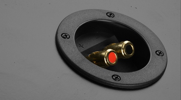 Loa sub âm tường Polk audio CSW100 kết nối thuận tiện